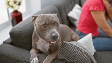 Orta yaşlı, kır saçlı, köpeği köpeğine dokunan bir kadın.