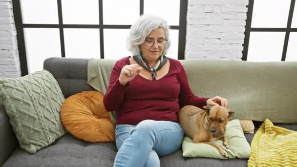 居心地の良いリビングルームで彼女のペット犬とソファーに座っている成熟した女性 — ストック動画