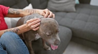 Sıcak, rahat bir evin içinde, nazik bir kadının elleri sevgili köpeğine sevgiyle uzanıyor, oturma odasında birbirine bağlanıyor..