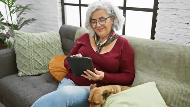 居心地の良いリビングルームで彼女のペット犬とソファにタブレットを使用して快適に灰色の髪の成熟した女性 — ストック動画