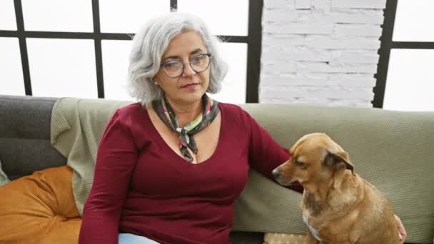 屋内のソファーに彼女の犬と座っている間にリントローラーを使用して灰色の髪の女性 — ストック動画