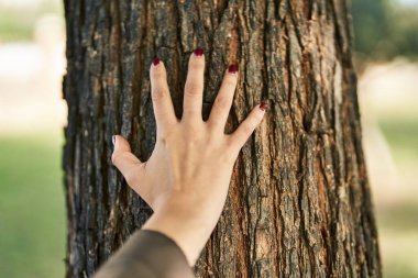 Young beautiful hispanic woman touching tree with hand at park