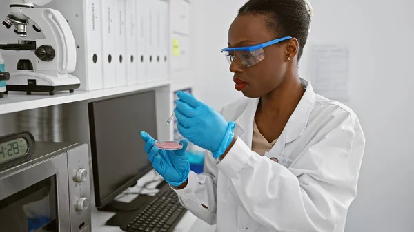 Serious african american woman scientist, fervently immersed in her work, poring over a crucial sample at the lab, encapsulating the strength of black, female professionals in science.
