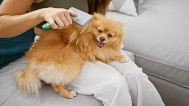 Güzel yetişkin kadın güvenli bir şekilde gülümsüyor, evde kanepede gülümseyen bir köpekle oturmanın keyfini çıkarıyor; neşeli bir kapalı kapılar bağı portresi