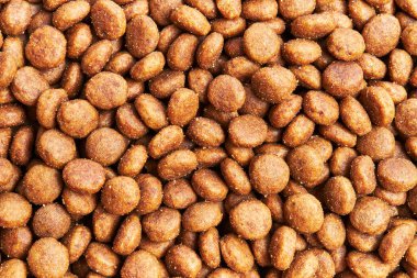  Lezzetli köpek maması küre dokusu.