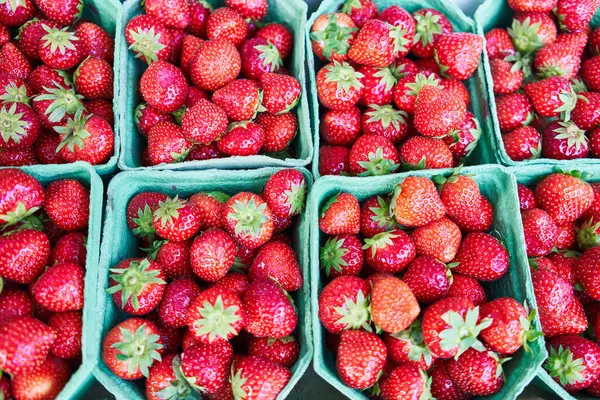 Delicious Group Strawberries Texture — Fotografia de Stock