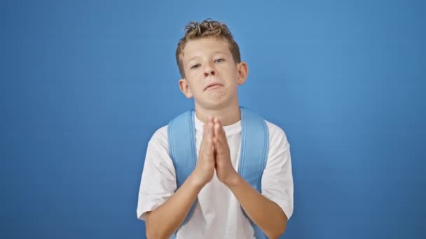 美しいブロンドの学生の少年は 活気に満ちた青色の背景に対して隔離されたジェスチャーで一緒に手を挙げます — ストック動画