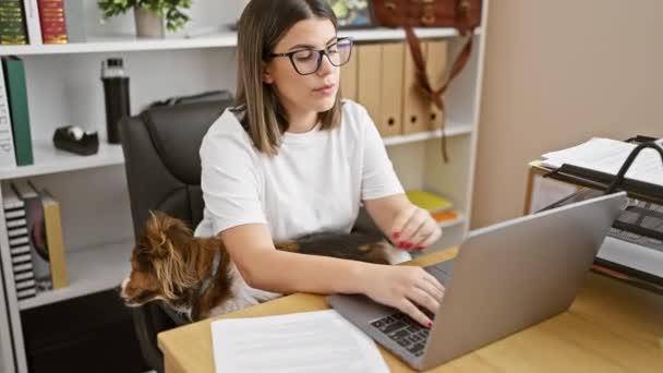 焦点を当てたヒスパニック女性は オフィスのラップトップで働き 彼女のそばにペット犬がいて ワークライフ統合を描いています — ストック動画