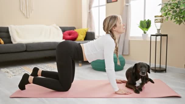 Blonde Woman Practicing Yoga Her Labrador Dog Cozy Living Room — Stock Video