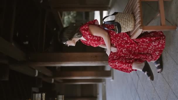 Brillante Verano Templo Meiji Hermosa Mujer Hispana Gafas Radiante Positividad — Vídeos de Stock