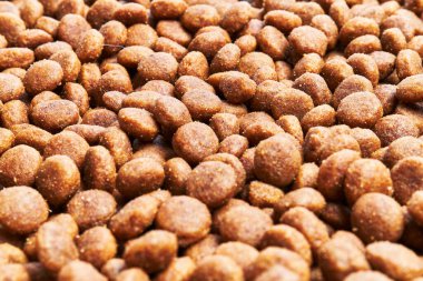  Lezzetli köpek maması küre dokusu.