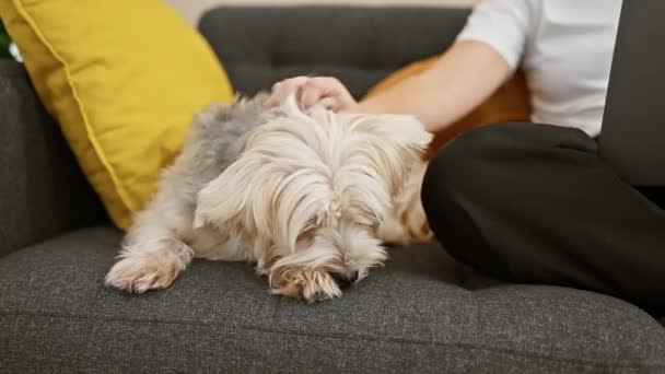 Una Mujer Relaja Sofá Acariciando Perro Esponjoso Una Acogedora Sala — Vídeos de Stock