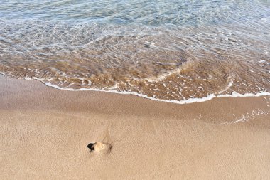 Sakin bir sahil sahnesi, berrak suyla altın kumun ve ıssız bir taşın üzerinden yavaşça geçiyor..
