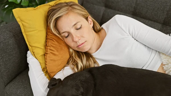 Young Caucasian Woman Naps Couch Her Pet Labrador Cozy Home — Stock Photo, Image