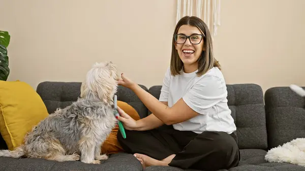 Smiling Young Woman Grooming Shaggy Dog Couch Cozy Living Room — Stock Photo, Image