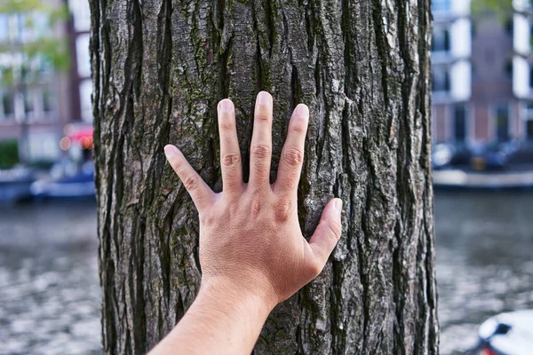 Man's hand touching a rough tree bark in an urban setting with blurred background, conveying connection with nature.