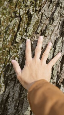 Erkek elinin açık havada ağaç gövdesine dokunması doğayla bağlantıyı sembolize eder..