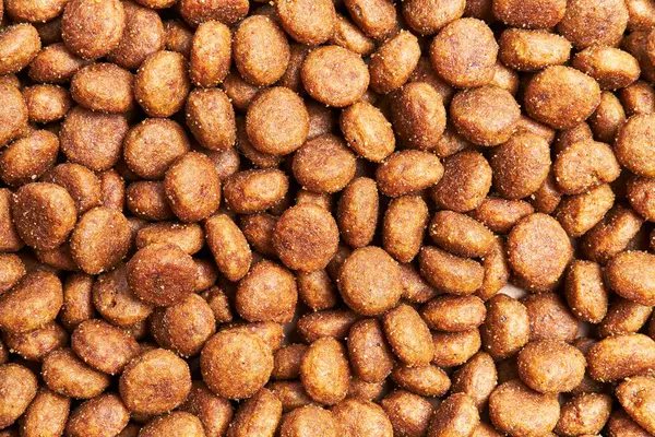 Lezzetli köpek maması küre dokusu.