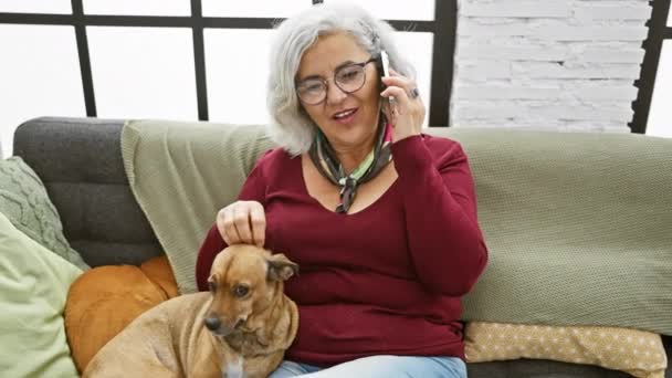 屋内のソファーで犬を飼っている間 灰色の髪の女性が電話でチャットします — ストック動画