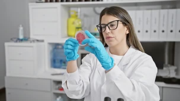 Skupiona Kobieta Naukowiec Bada Płytkę Petriego Nowoczesnym Środowisku Laboratoryjnym Przedstawiając — Wideo stockowe