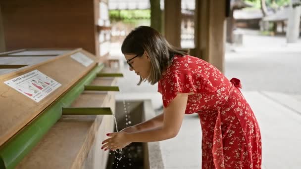 戴着眼镜的美丽的惊慌失措的女人 拥抱传统和灵性 在密集神龛里完成净化仪式 用洗净和饮用清澈流动的水完成东京 — 图库视频影像