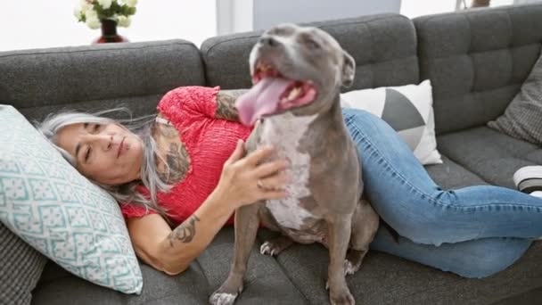 中年の女性の心温まるホームシーンは 彼女の犬と深く愛し 居心地の良いリビングルームのソファーに彼女の横たわるペットに優しく触れています — ストック動画