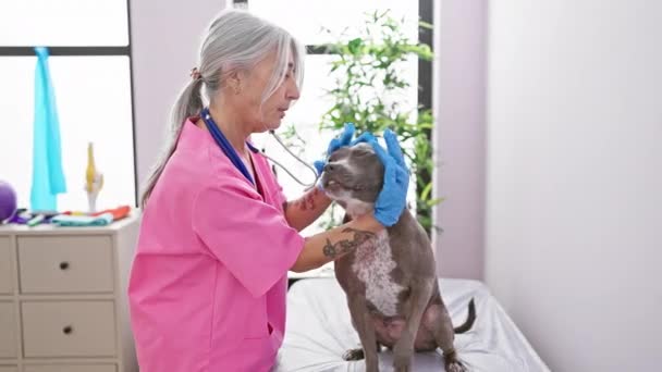 Der Entzückende Welpe Erhält Einen Gesundheitscheck Durch Eine Engagierte Tierärztin — Stockvideo