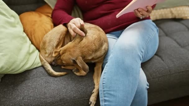 Olgun Bir Kadın Rahat Bir Oturma Odasında Köpeğini Okşarken Kitap — Stok video