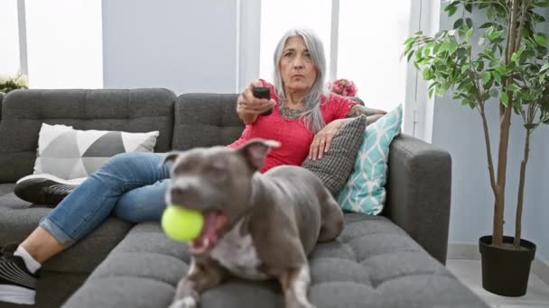 Gelangweilte Frau Mittleren Alters Grauhaarig Und Mit Hund Auf Ihrem — Stockvideo
