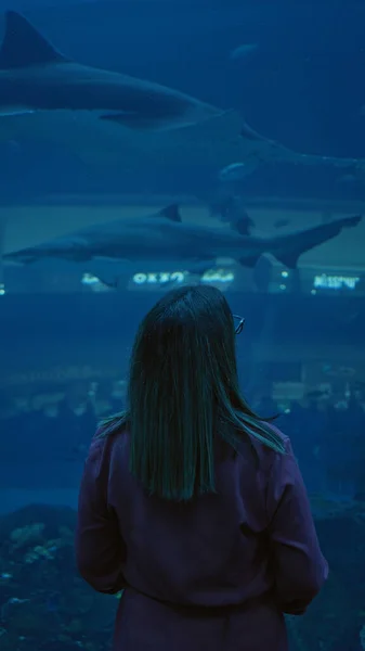 Young Woman Gazes Sharks Dimly Lit Underwater Aquarium Dubai Expressing — Stock Photo, Image