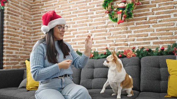 Young Hispanic Woman Chihuahua Dog Playing Wearing Christmas Hat Home — Stock Photo, Image