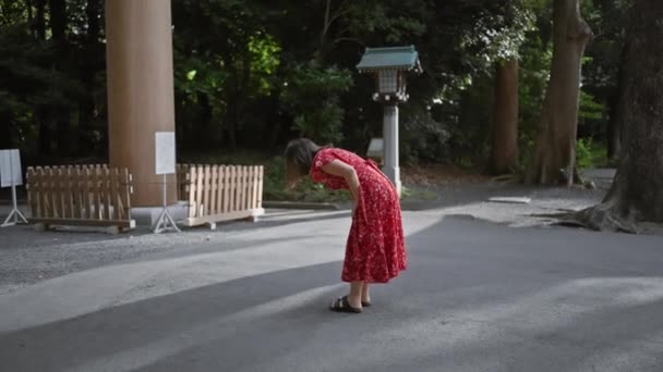 Okouzlující Okamžik Krásné Hispánské Ženy Brýlemi Pokorně Klanějící Tokyově Uctívaném — Stock video