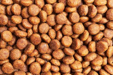  Lezzetli köpek maması küre dokusu.