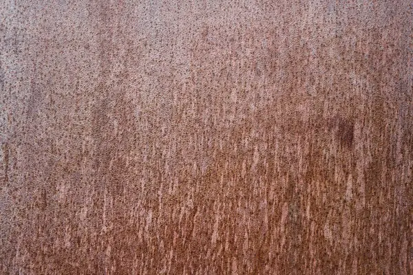 Texture Wooden Surface — Stock Photo, Image
