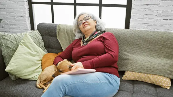 成熟した女性は居心地の良いリビングルームのソファーで寝ている犬とリラックスし 静けさと仲間関係を示します — ストック写真