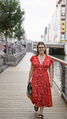 Güzel İspanyol kadın, gözlük takıyor, ayakta duruyor ve gülümsüyor. Ünlü dotonbori caddesinde, Osaka, mutluluğun, başarının ve sevincin portresi.