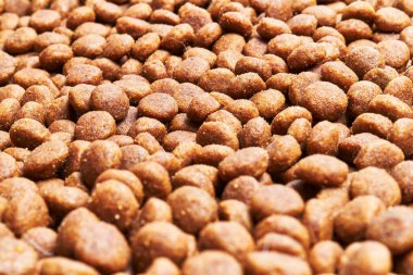  Lezzetli köpek maması küre dokusu.