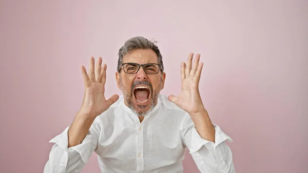 Young Attractive Hispanic Man Grey Haired Bearded Screaming Loud Furious — Stock Photo, Image