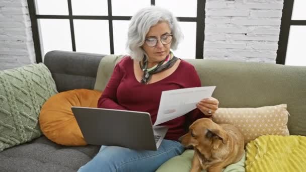 灰色の髪の女性は居心地の良いリビングルームの彼女の犬の隣のラップトップの財務文書をレビューします — ストック動画