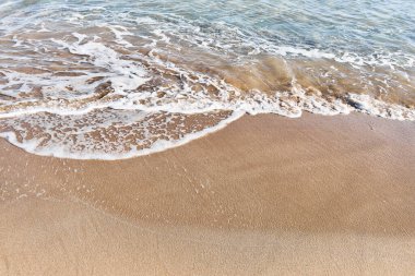 Yumuşak dalgalar, sakin bir kumsalda, doğanın huzur veren arayüzünü süpürüyor..