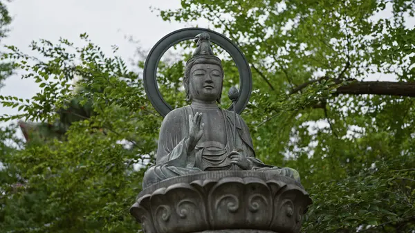 Statuie Senină Buddha Halo Află Printre Verdeața Luxuriantă Simbolizând Pacea — Fotografie, imagine de stoc