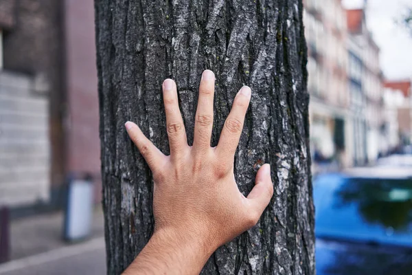 Close-up of a man's hand touching tree bark in an urban environment with blurred buildings in the background.