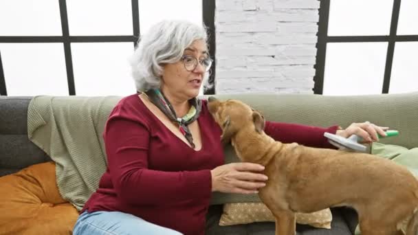 Uma Mulher Meia Idade Alegre Escova Seu Cão Sofá Aconchegante — Vídeo de Stock