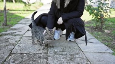 Siyahlı genç bir kadın güneşli bir günün tadını çıkarıyor. Dost canlısı bir sokak kedisini yıpranmış bir şehir yolunda okşuyor..