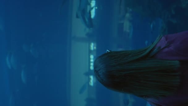 Genç Bir Esmer Kadın Dubai Deki Bir Altı Akvaryumunda Deniz — Stok video