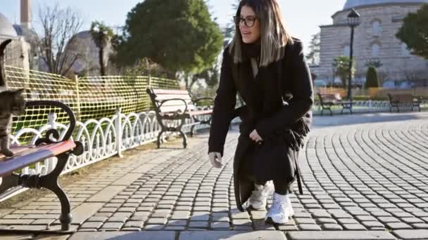 Uma Mulher Elegante Acaricia Gato Banco Istanbul Destacando Vida Urbana — Vídeo de Stock