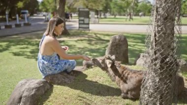 Neşeli, güzel İspanyol kadın Japonya 'daki popüler Nara Parkı' nda tatlı geyiklerle neşeyle besleniyor. Benzersiz kültür ve vahşi hayatın tadını çıkarıyor.!