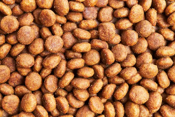  Lezzetli köpek maması küre dokusu.