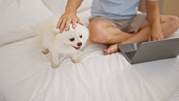 在一个舒适的公寓里 年轻的高加索人和他的可爱的小狗悠闲自在地坐在床上 专心致志地看着他的笔记本电脑 舒服地躺在卧室里 — 图库照片
