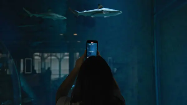 A woman captures a photo of sharks in a dark underwater aquarium setting with her smartphone.